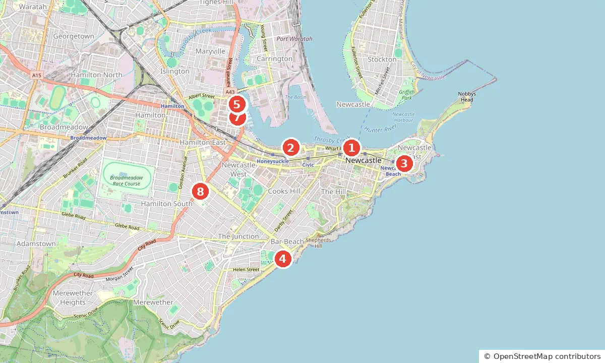 Street map of Best fish and chips in Newcastle: 8 local favourites, with each numbered pick marked