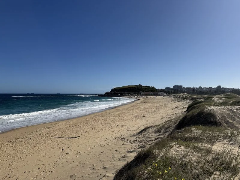 Nobbys Beach from the dunes, with the surf rolling in and the city beyond