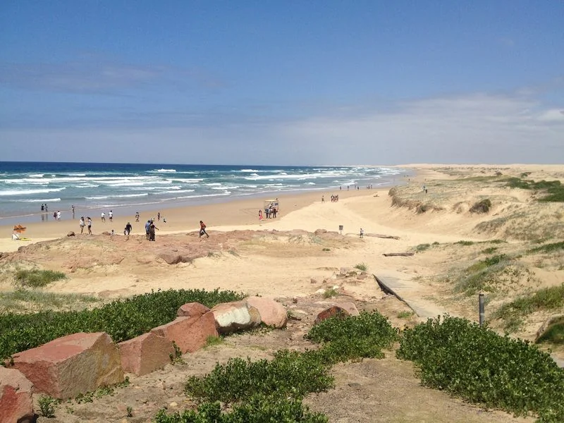 Stockton Beach and its dunes stretching north on a clear day